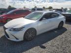 2023 LEXUS ES 350 BAS - 58ADZ1B1XPU153835