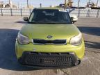 KIA SOUL + photo