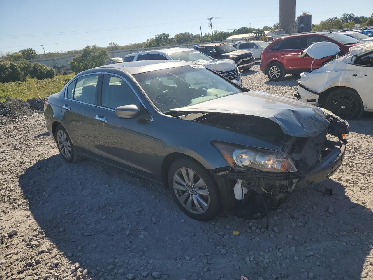 Lot #2956338004 2011 HONDA ACCORD EXL