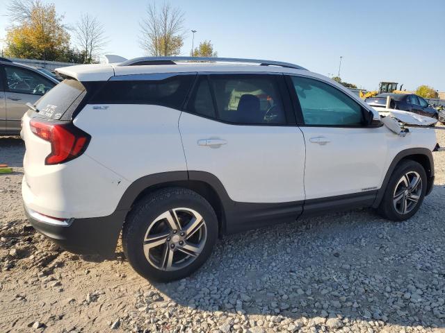 VIN 3GKALVEV3KL382645 2019 GMC Terrain, Slt no.3