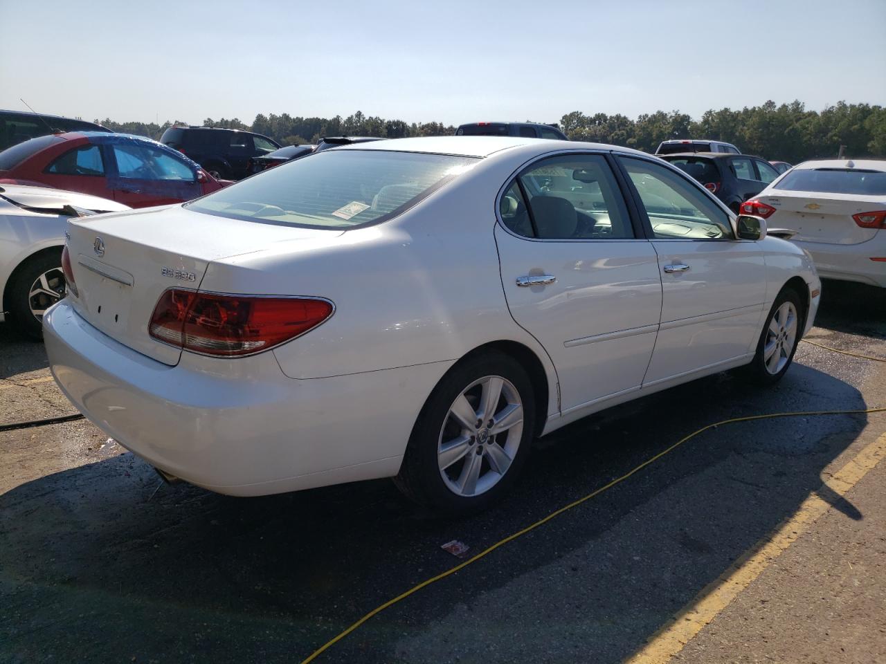 Lot #2955276522 2005 LEXUS ES 330