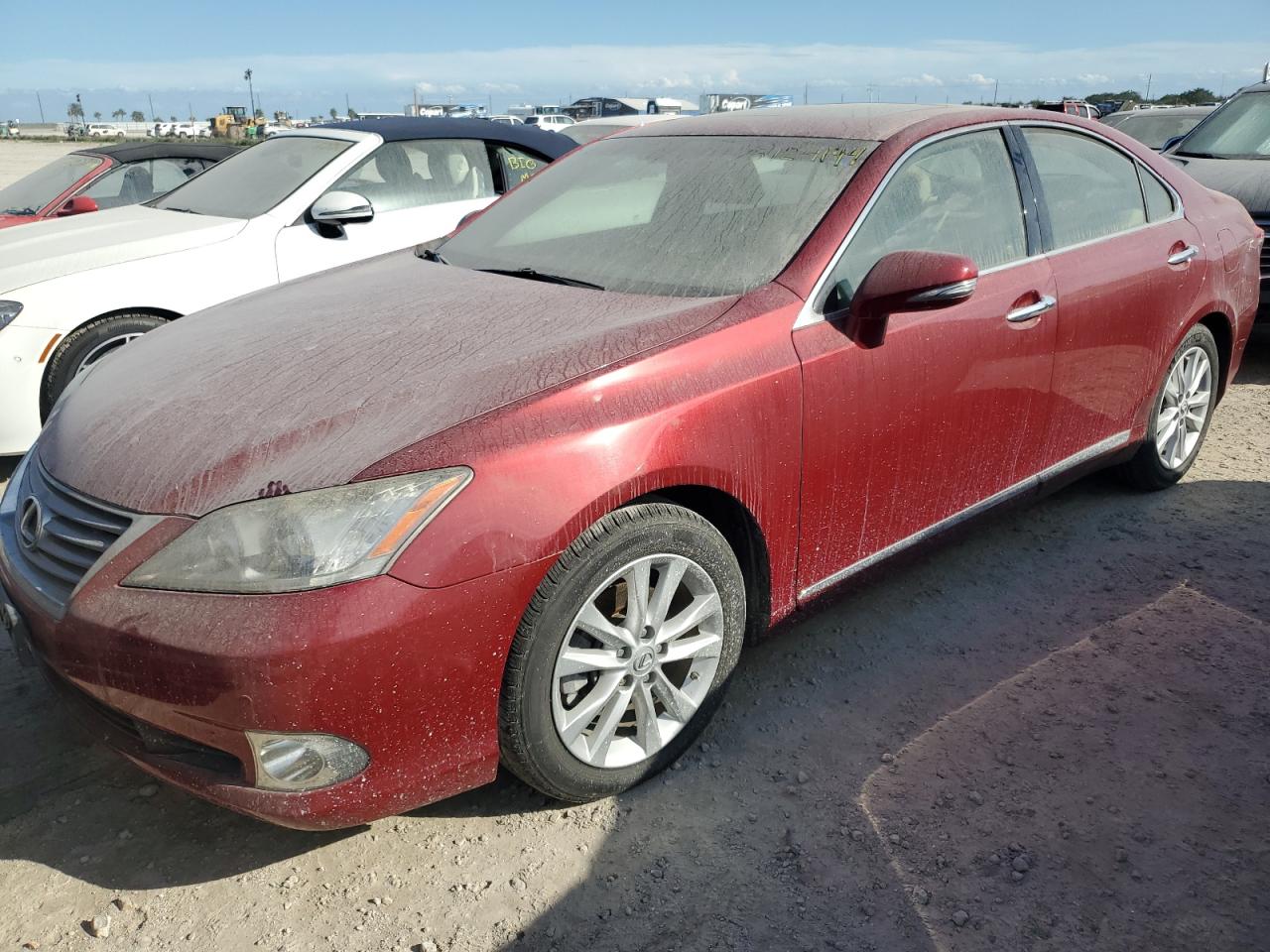 Lot #2921641115 2010 LEXUS ES 350