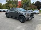 FORD F150 RAPTO photo