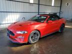 Lot #2957491376 2023 FORD MUSTANG