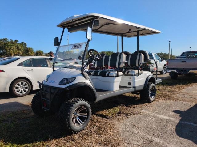 GOLF CART 2023 white   FLA130048 photo #3