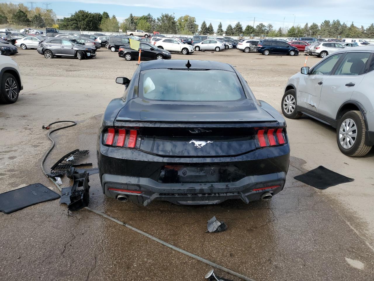 Lot #3009109474 2024 FORD MUSTANG