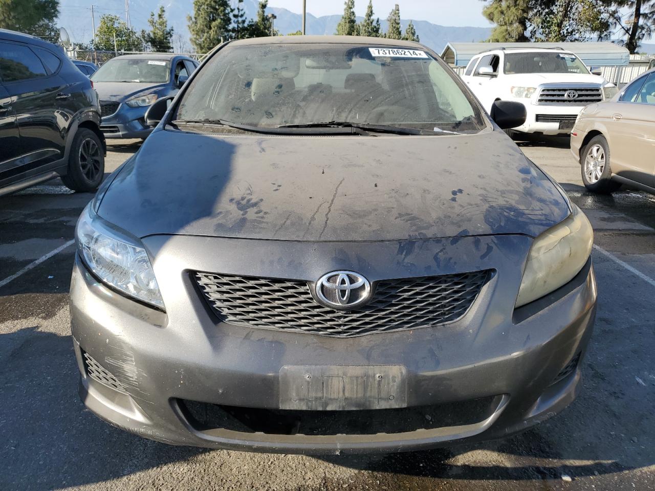 Lot #2872083155 2010 TOYOTA COROLLA BA