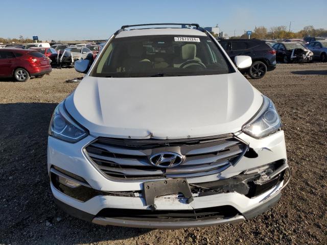 2017 HYUNDAI SANTA FE S - 5NMZUDLB5HH013371