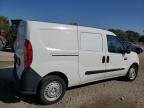 RAM PROMASTER photo