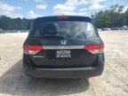 HONDA ODYSSEY EX photo