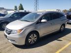 HONDA ODYSSEY EX photo