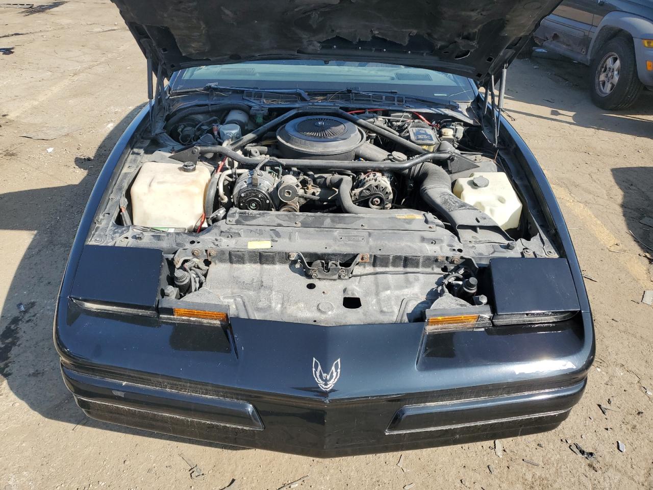 Lot #2923314541 1989 PONTIAC FIREBIRD B