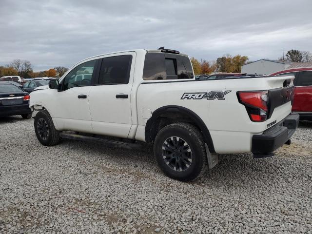 NISSAN TITAN SV 2023 white  gas 1N6AA1ED7PN116504 photo #3