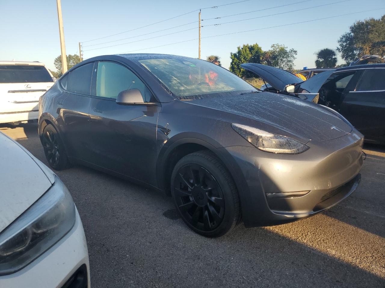 Lot #2986712353 2023 TESLA MODEL Y