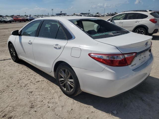 2016 TOYOTA CAMRY LE - 4T1BF1FK5GU558690