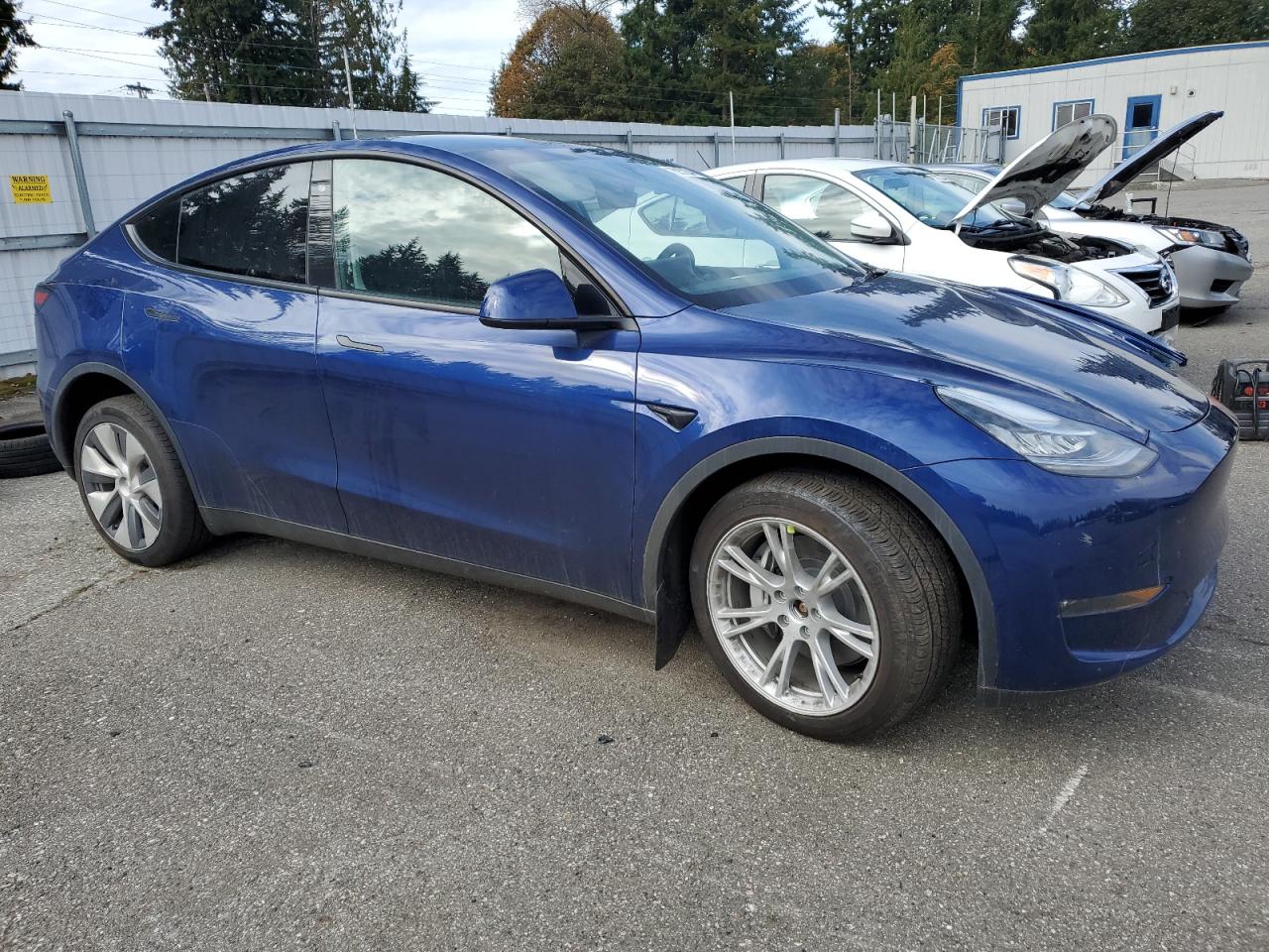 Lot #2986928846 2023 TESLA MODEL Y