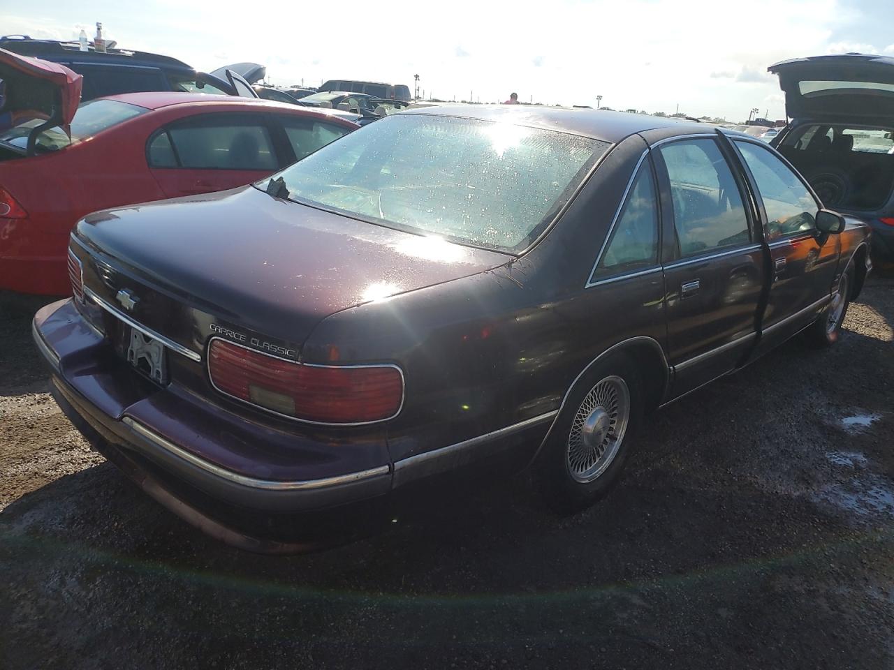 Lot #3030218136 1993 CHEVROLET CAPRICE CL