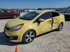 2016 KIA RIO EX - KNADN4A36G6593516