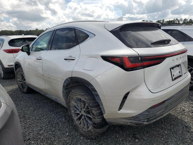 LEXUS NX 250 PRE 2025 white  gas 2T2GDCAZXSC020763 photo #3