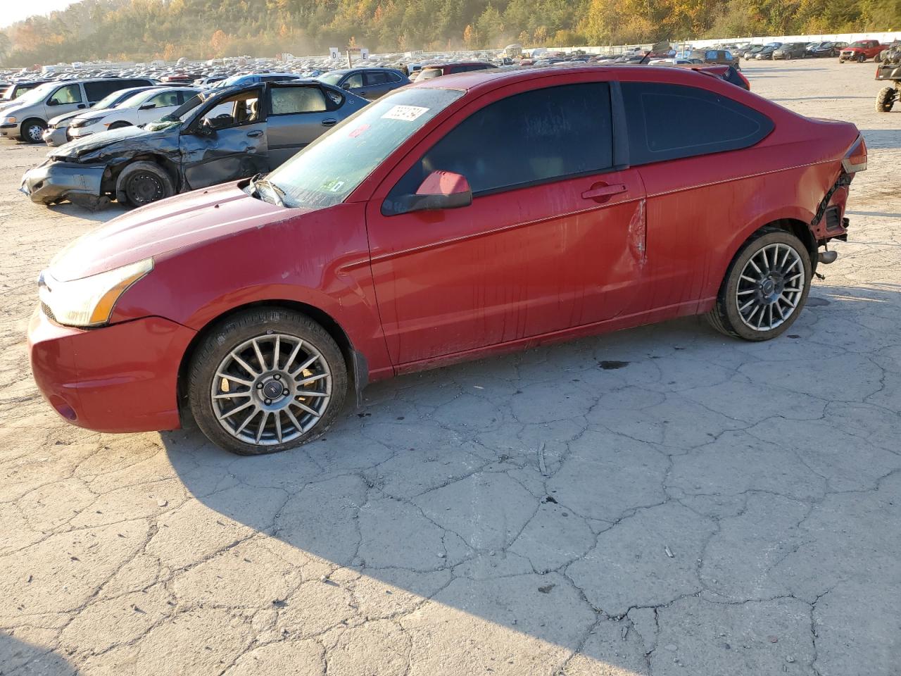 Lot #2943176550 2009 FORD FOCUS SES