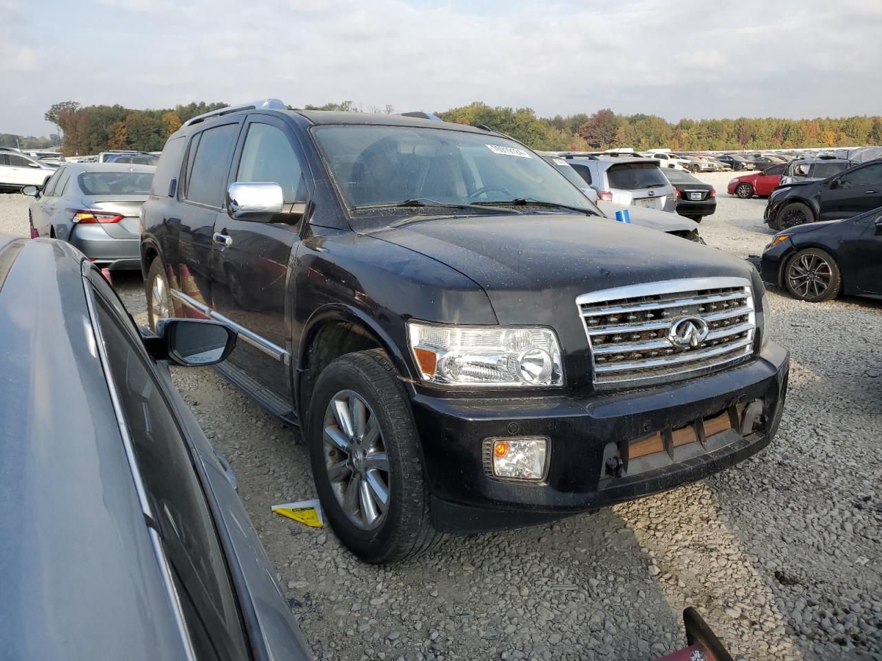 Lot #2955241570 2010 INFINITI QX56