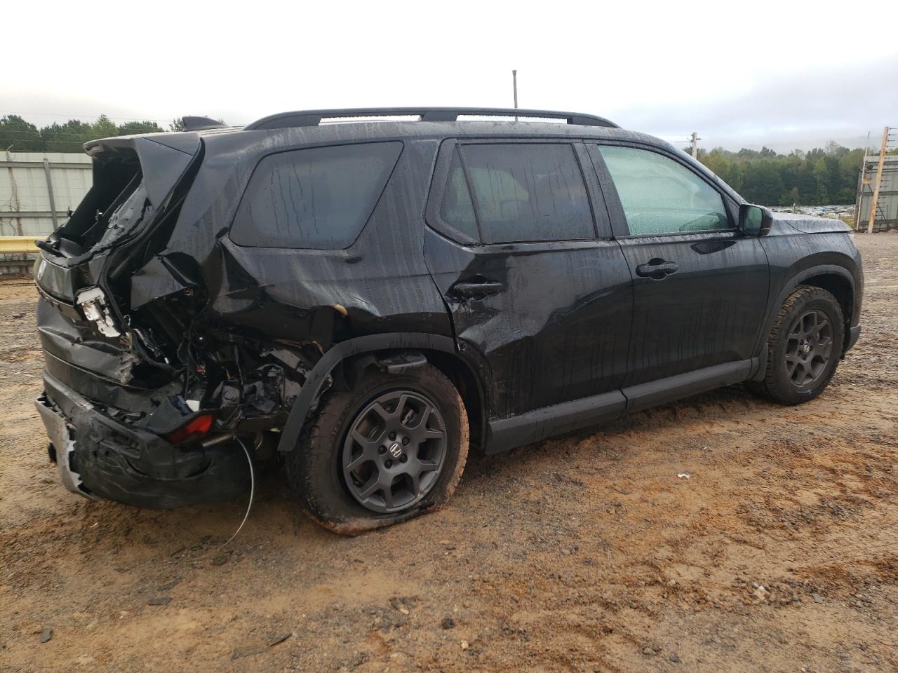 Lot #2978982634 2024 HONDA PILOT TRAI