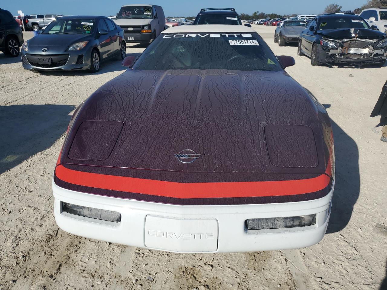 Lot #3029726734 1995 CHEVROLET CORVETTE