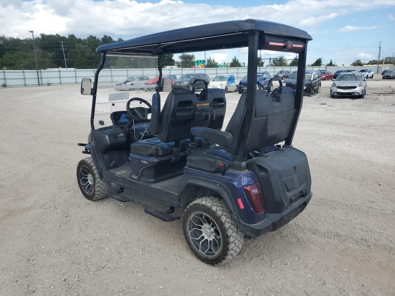 Lot #3026262274 2024 FIEX GOLF CART