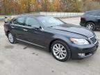 LEXUS LS 460 photo