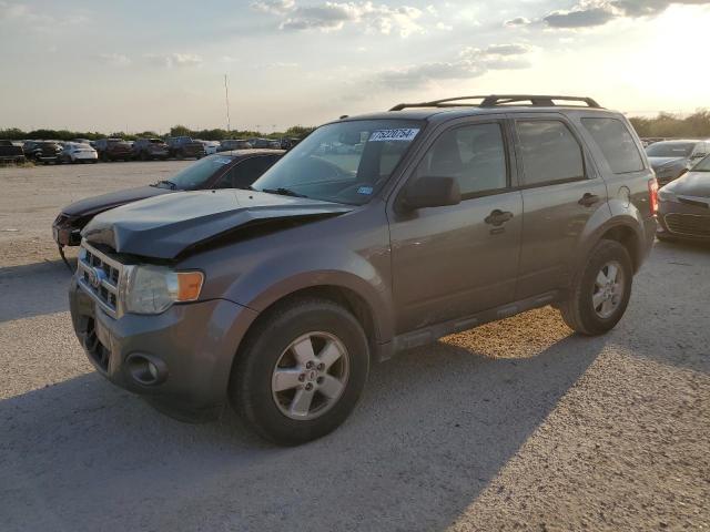 2010 FORD ESCAPE XLT 2010