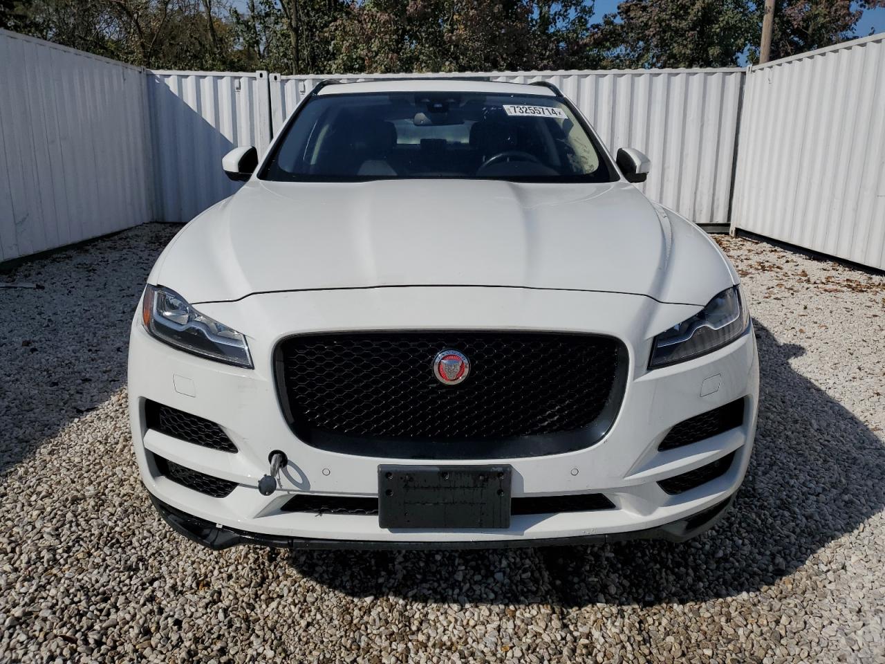 Lot #2935614008 2017 JAGUAR F-PACE PRE