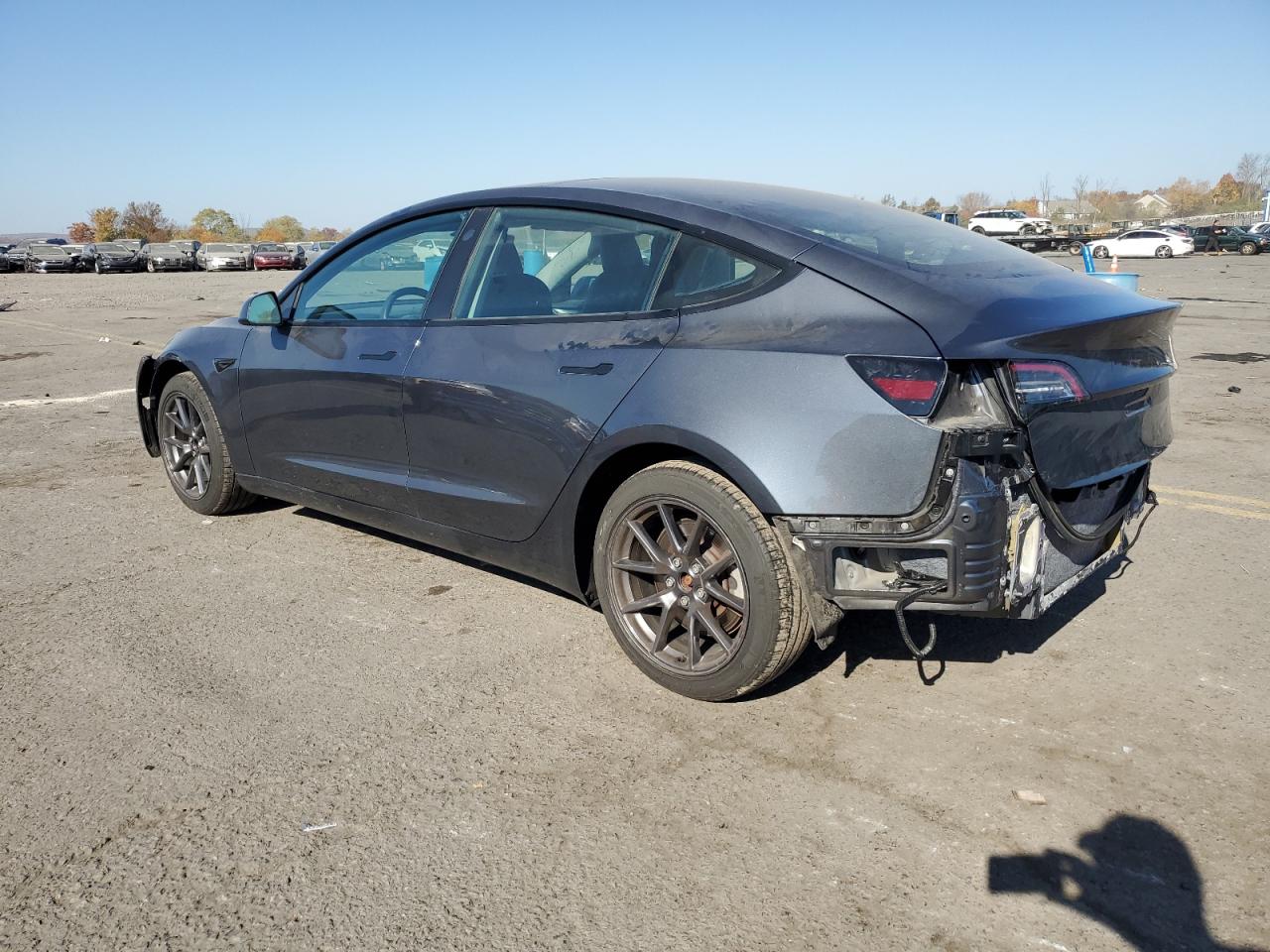 Lot #2926237567 2021 TESLA MODEL 3