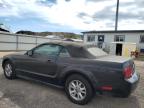 Lot #3023446336 2008 FORD MUSTANG