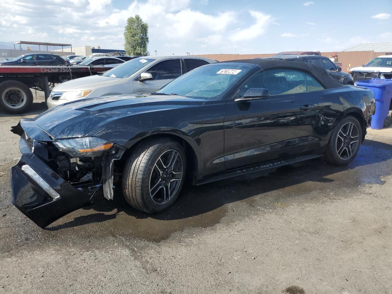 Lot #2965044645 2022 FORD MUSTANG