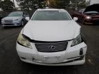 Lot #3006905597 2009 LEXUS ES 350