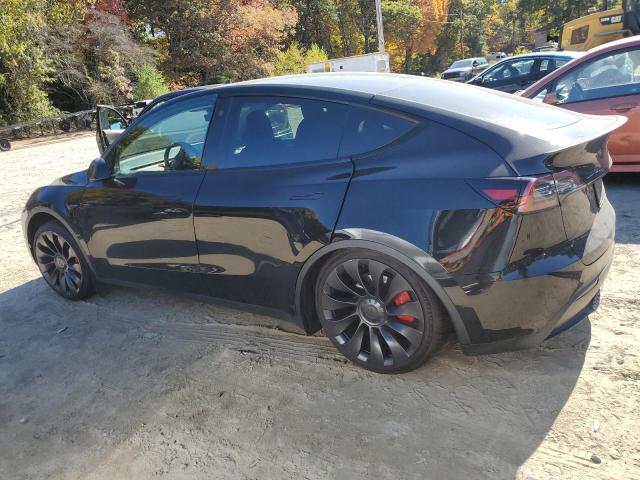 2022 TESLA MODEL Y - 7SAYGDEF0NF572135