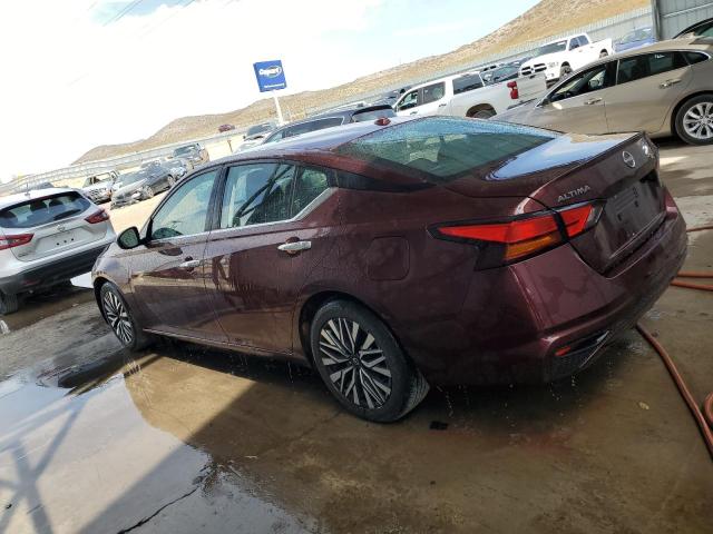 VIN 1N4BL4DV4PN359707 2023 Nissan Altima, SV no.2