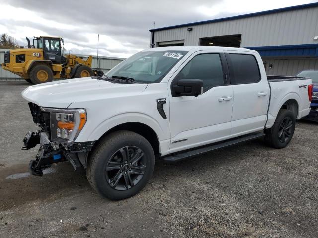 2023 FORD F150 SUPER #2986847152