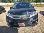 HONDA PILOT ELIT photo