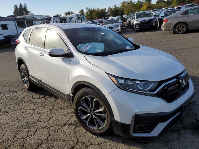 2020 HONDA CR-V EXL - 5J6RW2H81LA015384