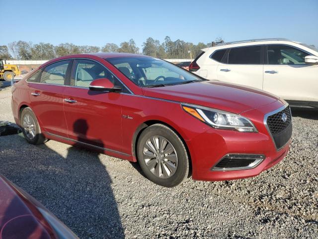 2016 HYUNDAI SONATA HYB - KMHE24L1XGA028822
