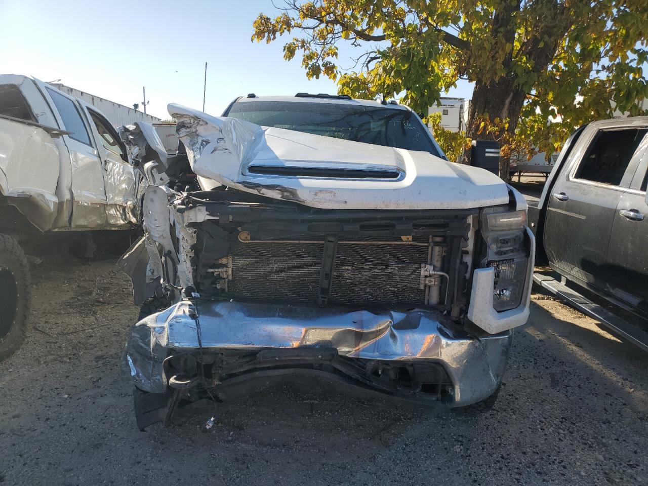 Lot #2943161402 2020 CHEVROLET SILVERADO