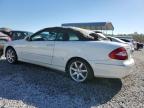 Lot #2928887583 2007 MERCEDES-BENZ CLK 350