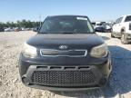 KIA SOUL photo