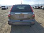 Lot #2993568176 2010 HONDA CR-V EX