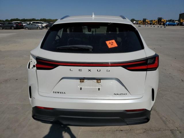 2022 LEXUS NX 250 JTJADCAZXN5004099