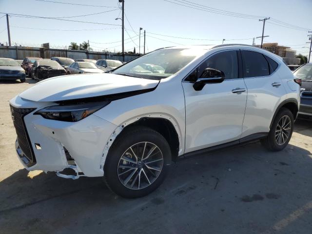 2024 LEXUS NX 350 PRE #2911993578