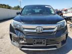 Lot #2991637011 2020 HONDA PILOT EXL