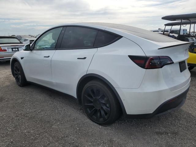 2021 TESLA MODEL Y - 5YJYGDEE3MF144207