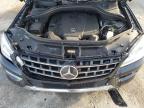 MERCEDES-BENZ ML 350 BLU photo